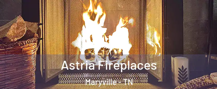  Astria Fireplaces Maryville - TN