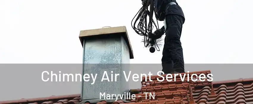  Chimney Air Vent Services Maryville - TN