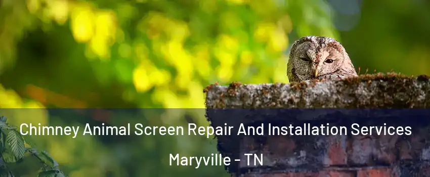  Chimney Animal Screen Repair And Installation Services Maryville - TN