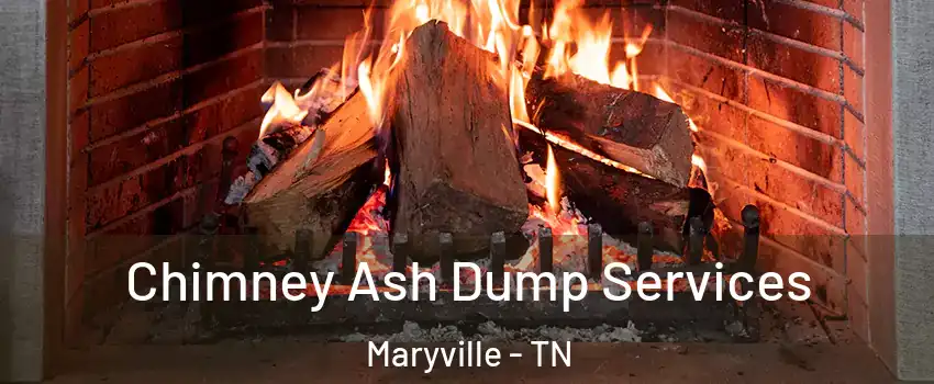  Chimney Ash Dump Services Maryville - TN