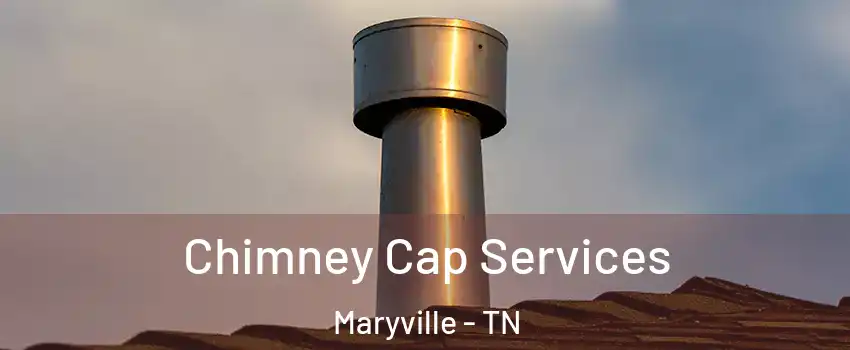  Chimney Cap Services Maryville - TN