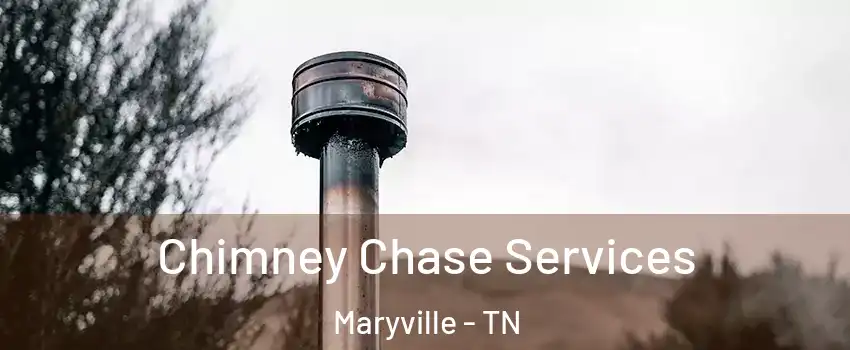  Chimney Chase Services Maryville - TN