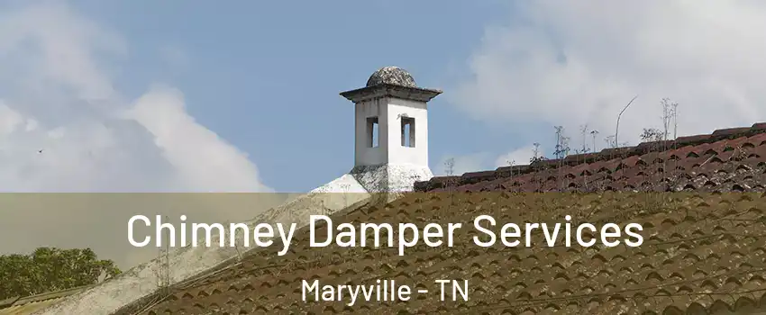  Chimney Damper Services Maryville - TN