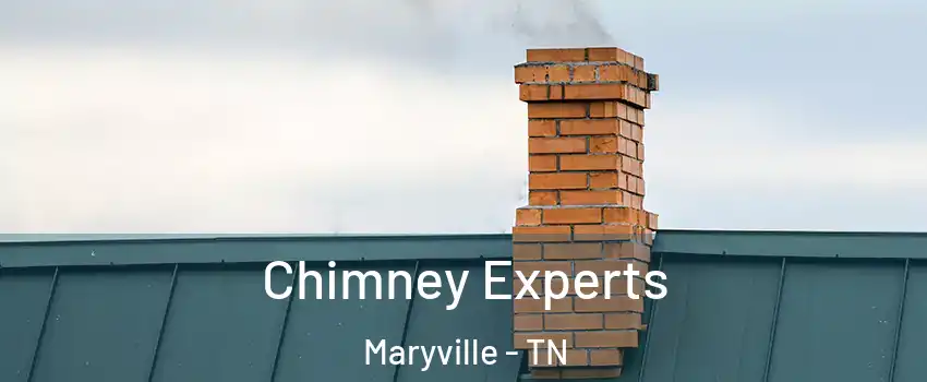  Chimney Experts Maryville - TN