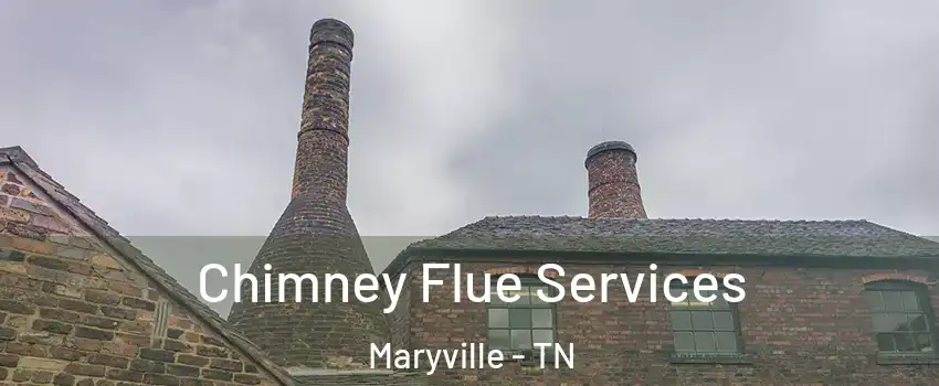  Chimney Flue Services Maryville - TN