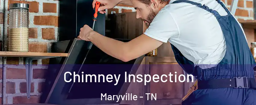  Chimney Inspection Maryville - TN