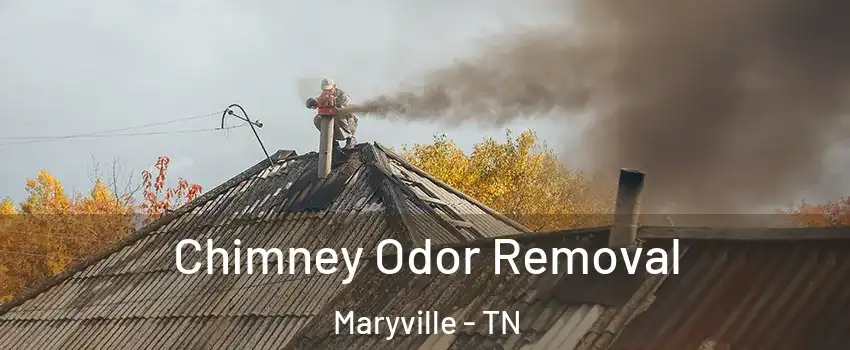  Chimney Odor Removal Maryville - TN