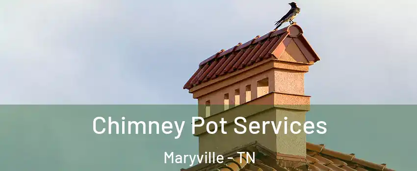  Chimney Pot Services Maryville - TN
