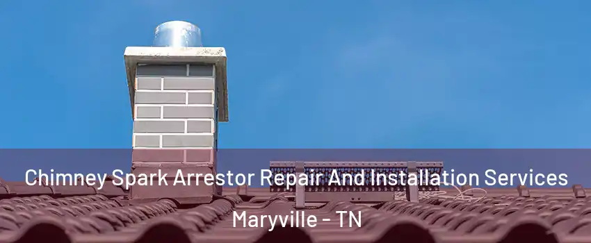  Chimney Spark Arrestor Repair And Installation Services Maryville - TN
