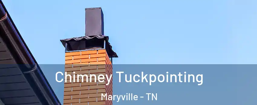  Chimney Tuckpointing Maryville - TN