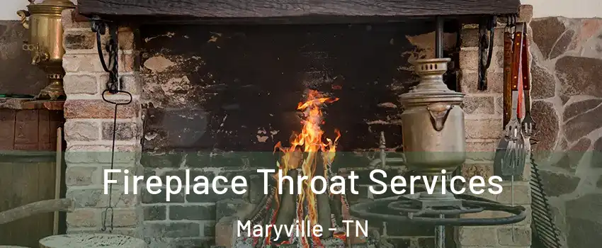  Fireplace Throat Services Maryville - TN