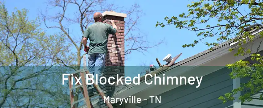  Fix Blocked Chimney Maryville - TN