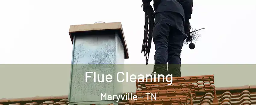  Flue Cleaning Maryville - TN