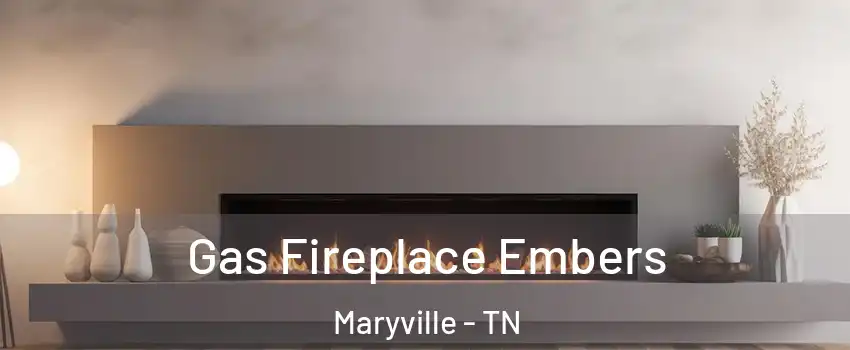  Gas Fireplace Embers Maryville - TN