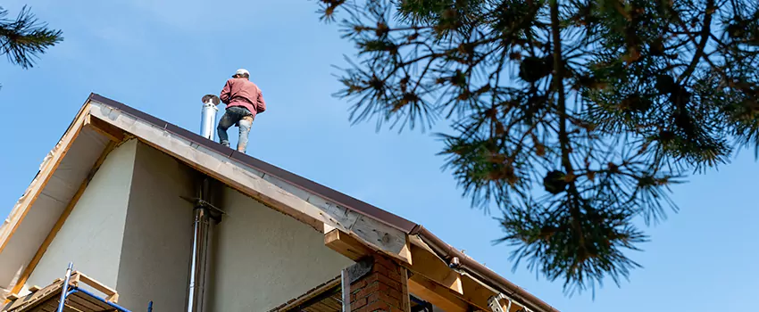 Birds Removal Contractors from Chimney in Maryville, TN