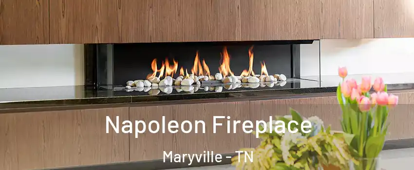  Napoleon Fireplace Maryville - TN