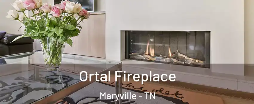  Ortal Fireplace Maryville - TN